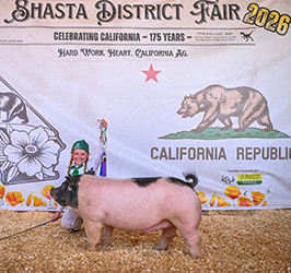 Aubrey Woolley
Weight Division Winner
Shasta District Fair
Placed by Bob May Livestock