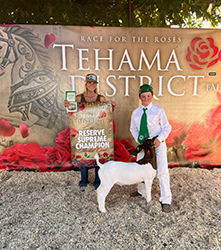 Braxton Byrd
Reserve Suporeme Overall
Champion 4-H
Tehama Fair
Sired by Unfinished Business