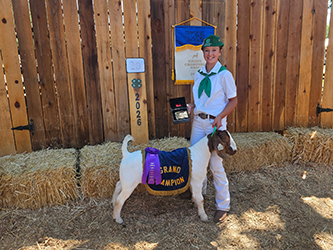 Ellie Dresselhaus
Grand Champion Overall Market Goat
4-H Champion
Trinity County Fair