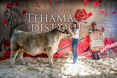 Jordan Staley
Reserve Supreme Overall
Champion 4-H Steer
Tehama Fair