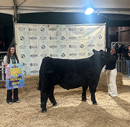 Sam Londynn
Reserve Champion FFA Steer
San Diego County Fair
